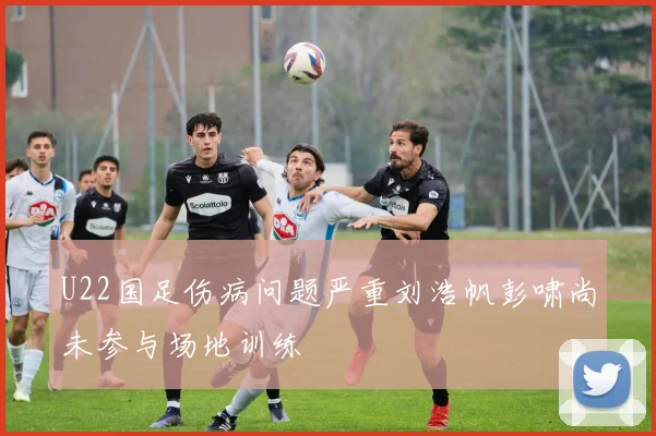 U22国足伤病问题严重刘浩帆彭啸尚未参与场地训练
