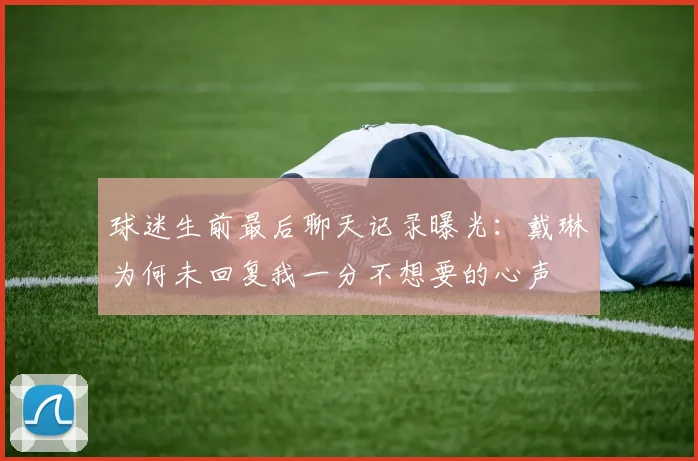 球迷生前最后聊天记录曝光：戴琳为何未回复我一分不想要的心声